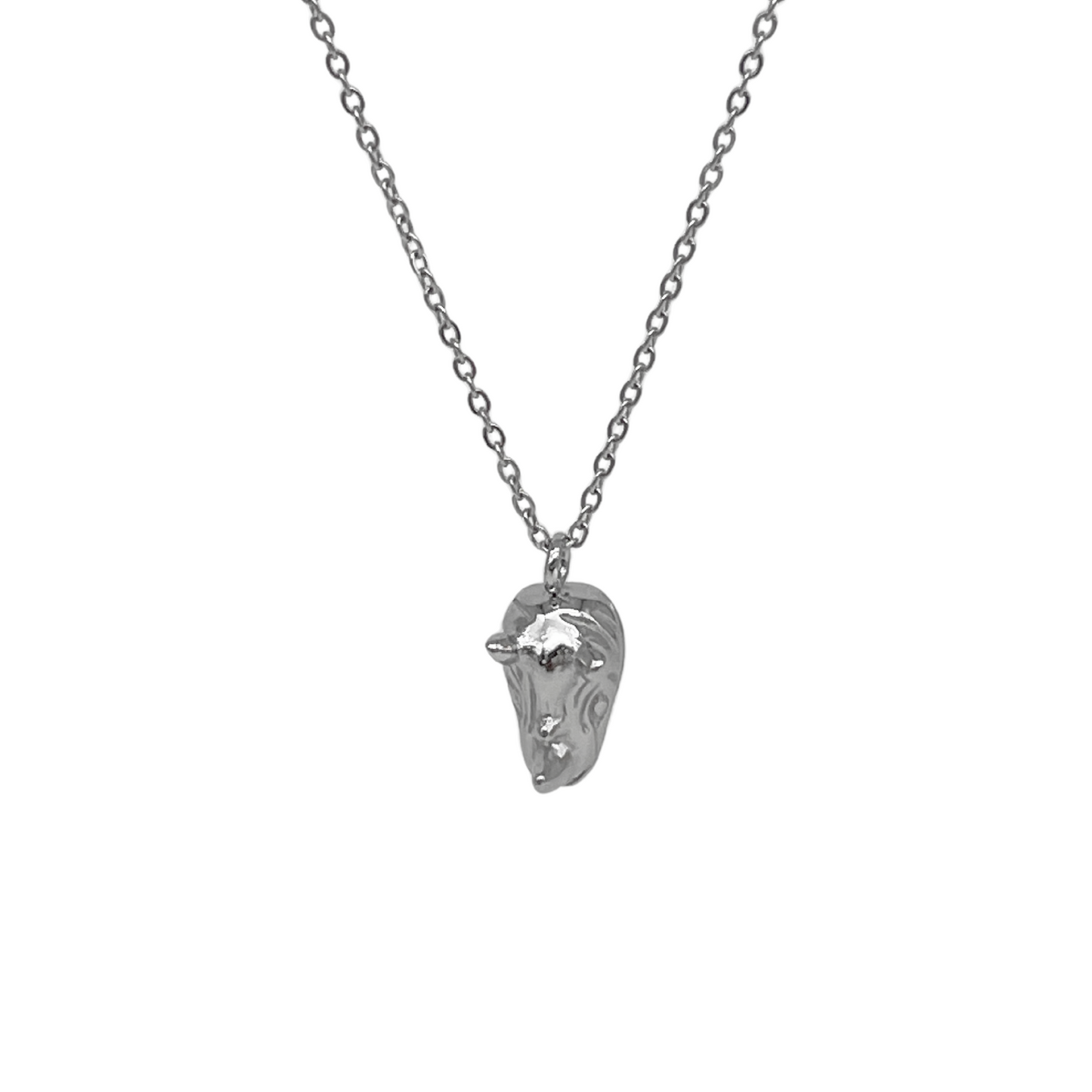 Collar "Rhino" Plateado