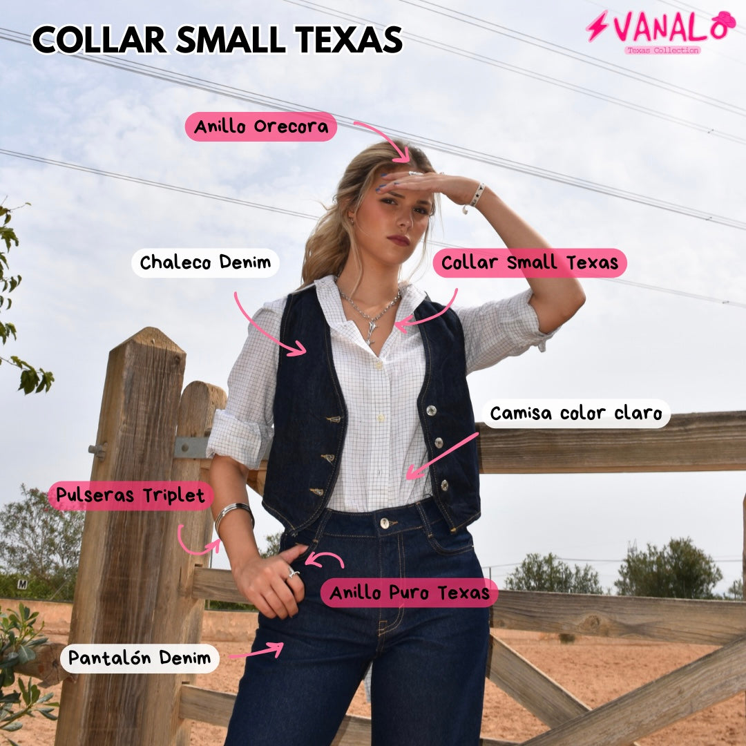 Collar "Small Texas" Plateado Acero Inoxidable