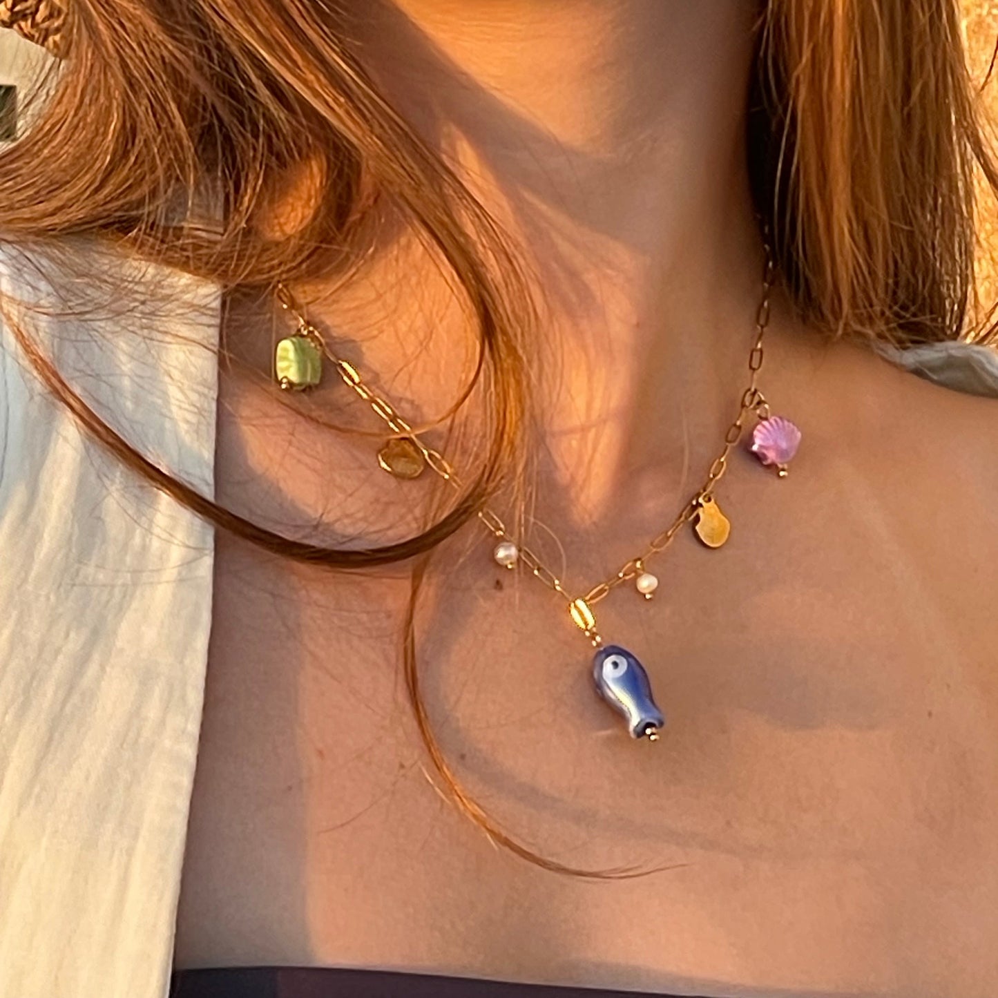 Collar Pez Dory Acero Inoxidable