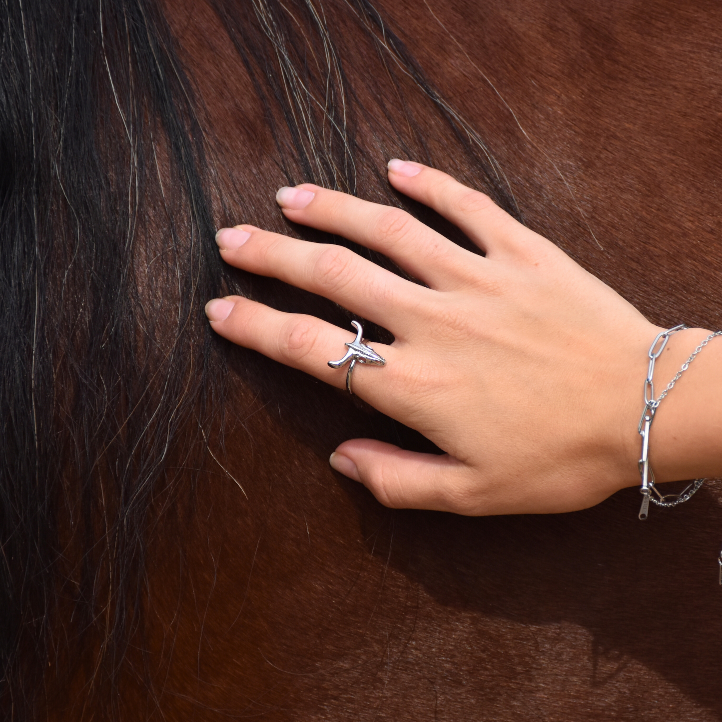 Anillo Cabeza Toro "Puro Texas" Plateado Acero Inoxidable