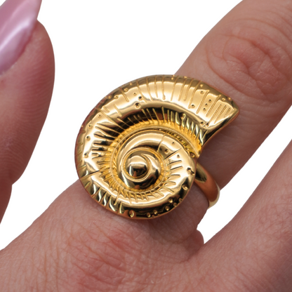 Anillo Hacienda Acero Inoxidable